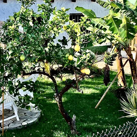 Апартаменты Casa Dominica *