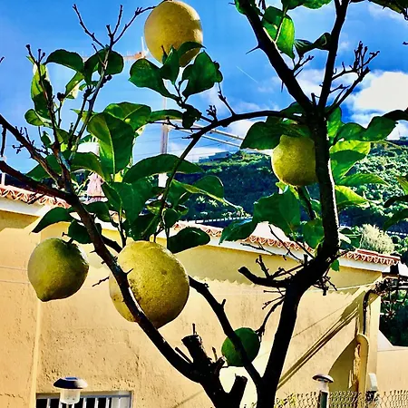 Casa Dominica *