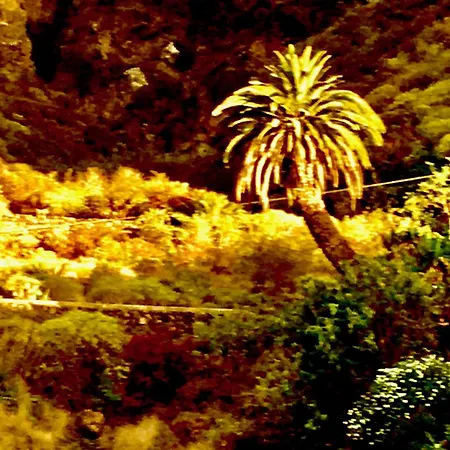 Lägenhet Casa Dominica