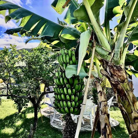 Lägenhet Casa Dominica